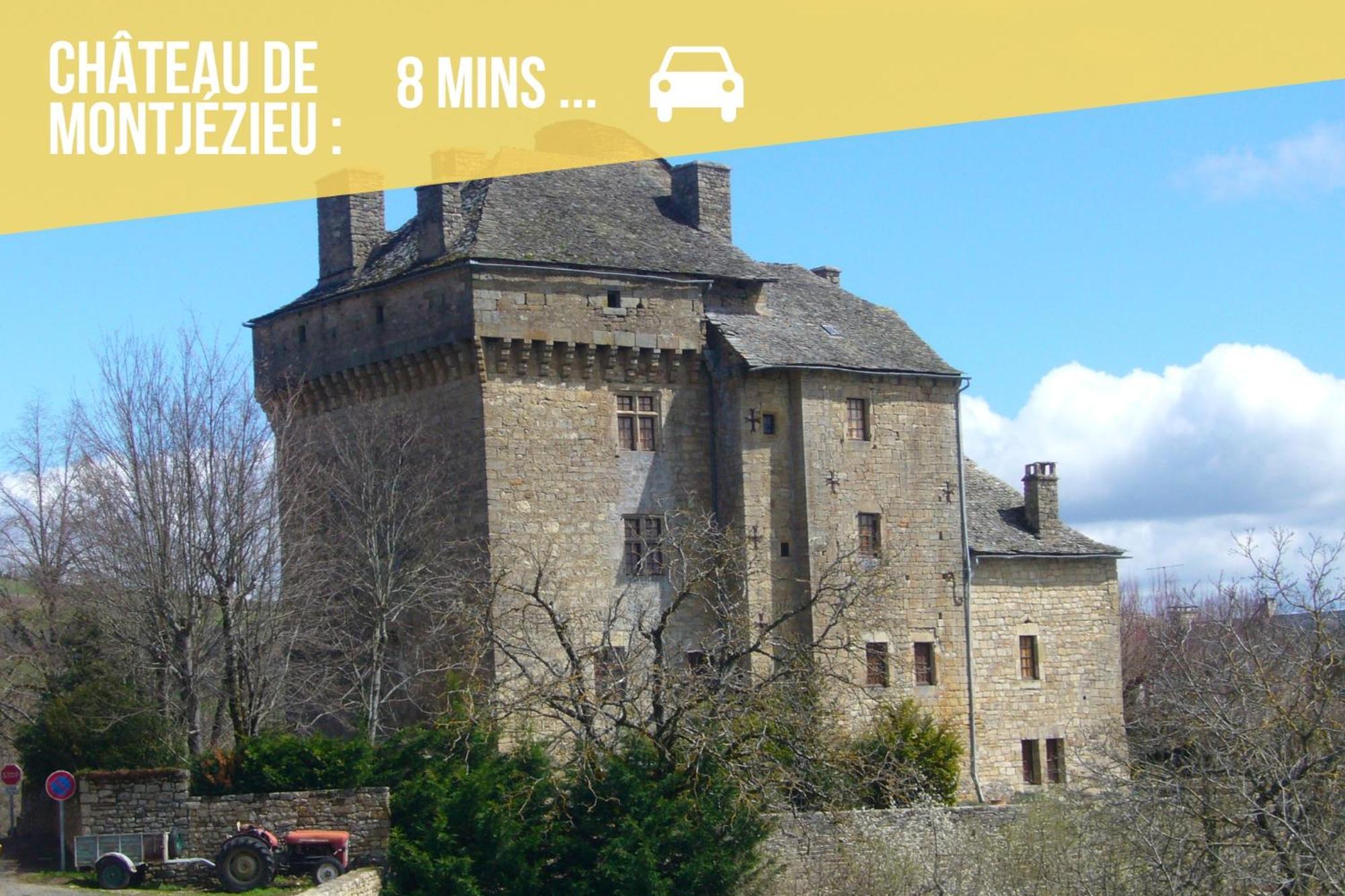 Les Hourtous Netflix Wi-Fi Fibre Terasse 4 Pers Banassac Exterior foto